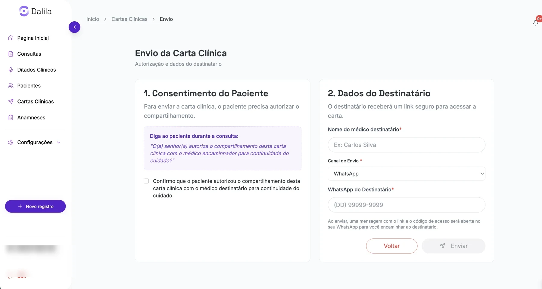 Tela Dalila: devolutiva e encaminhamento